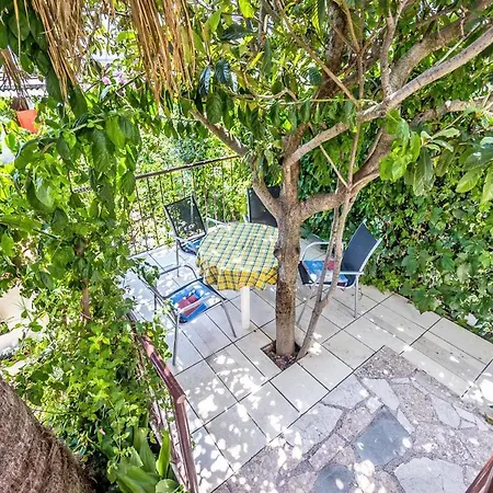 Zora Apartament *