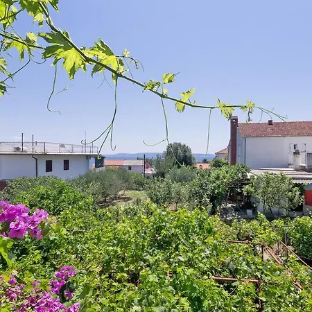 Apartament Zora *